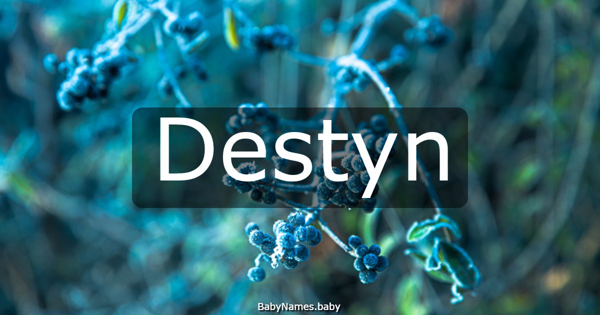 Destyn