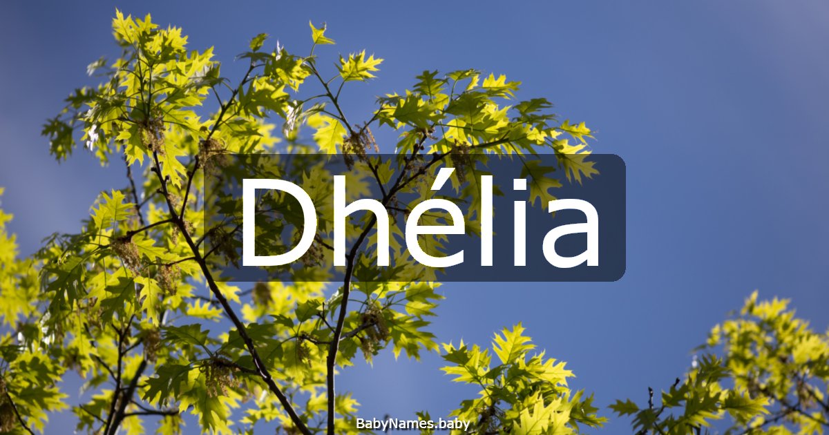 Dhélia