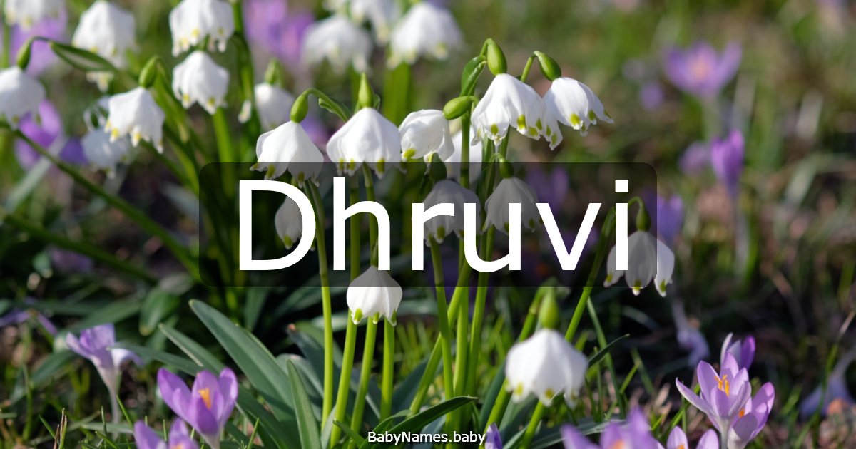 Dhruvi