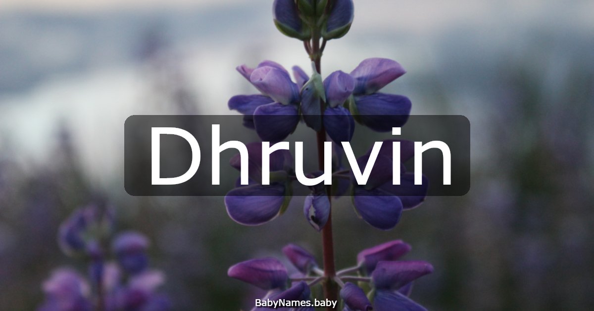 Dhruvin