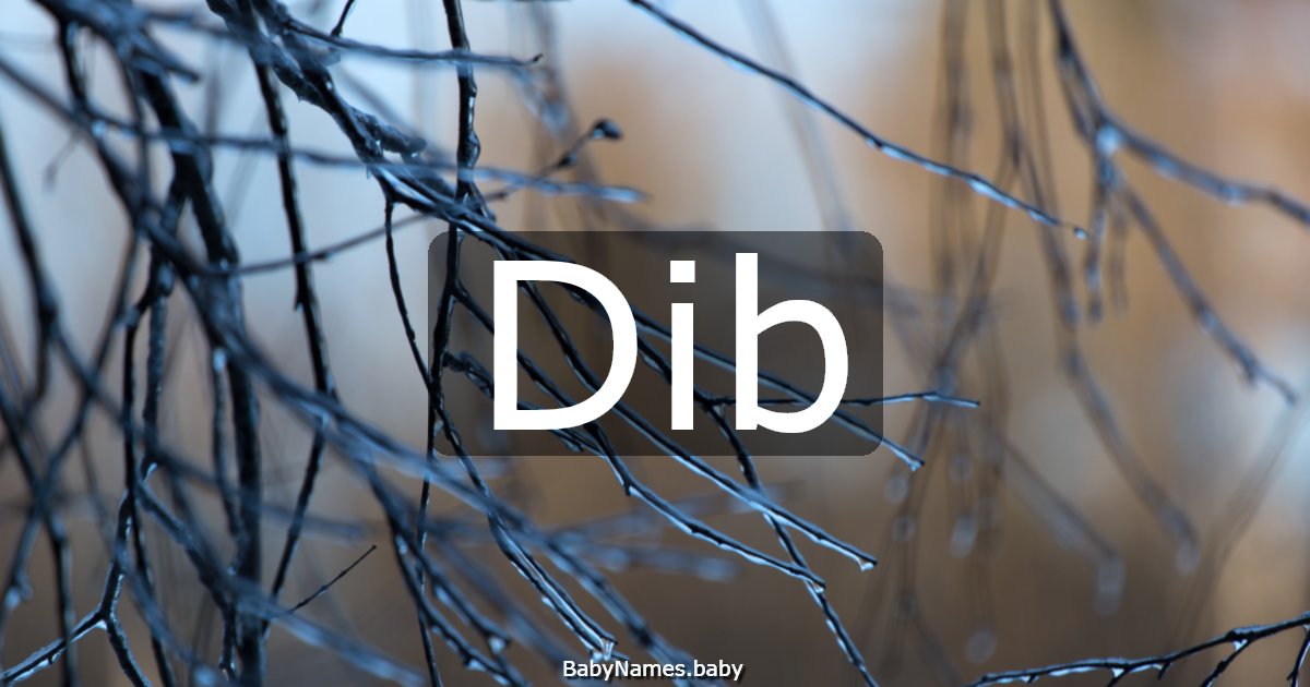 Dib