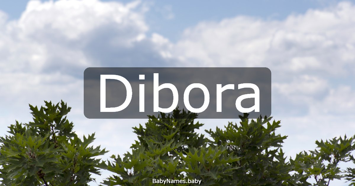 Dibora