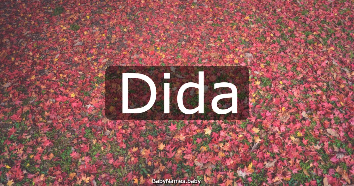 Dida