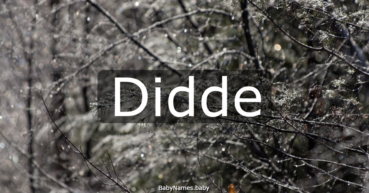 Didde