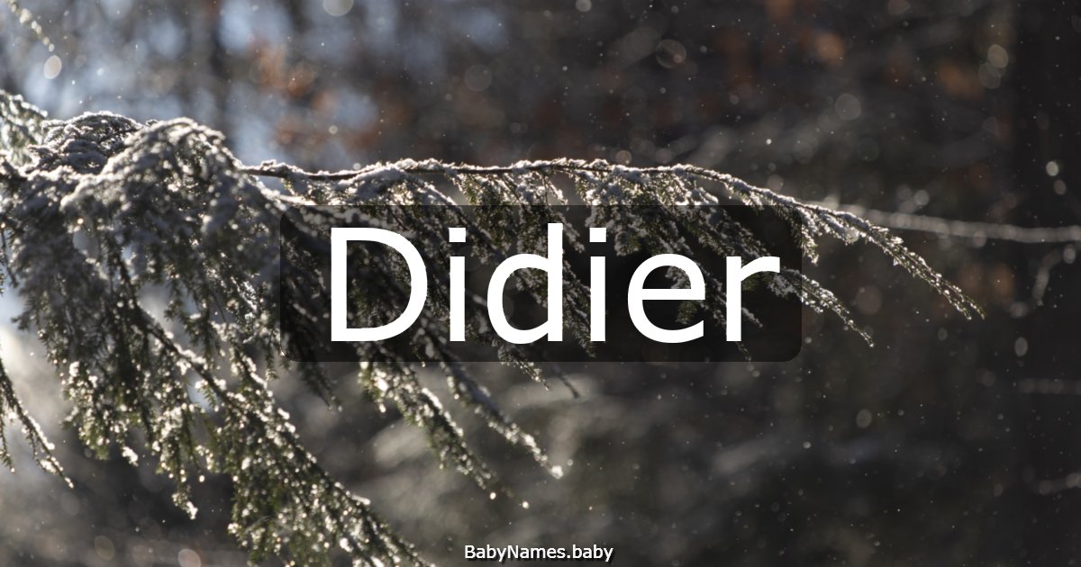 Didier