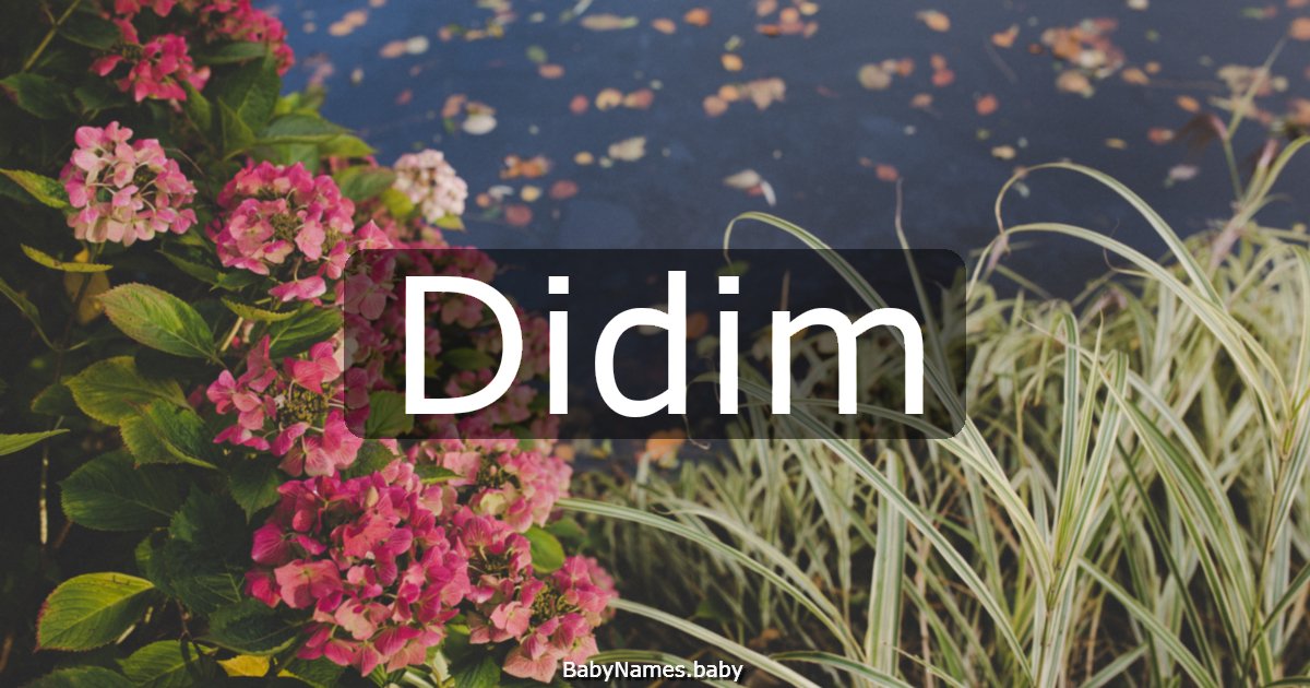 Didim