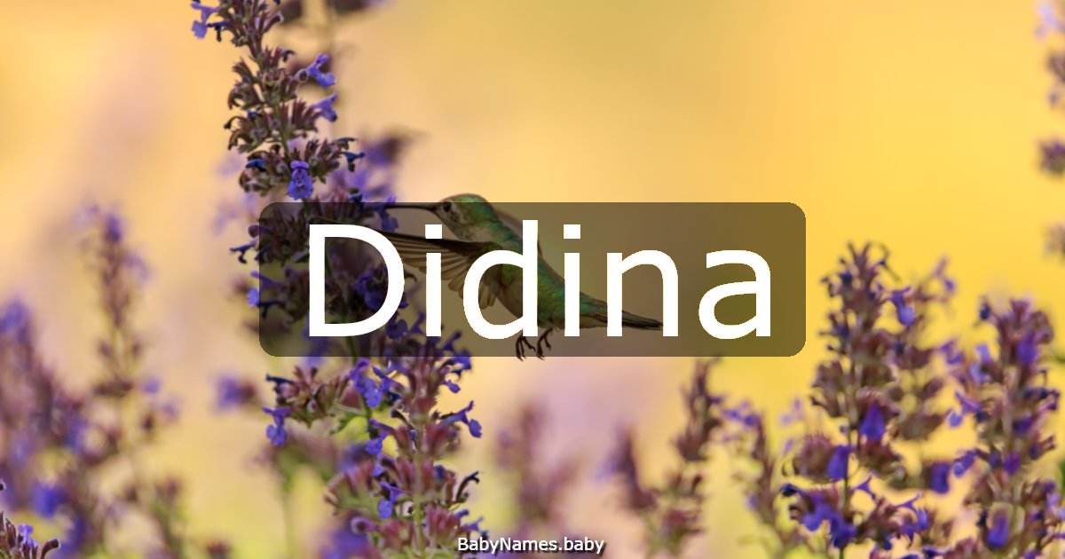 Didina