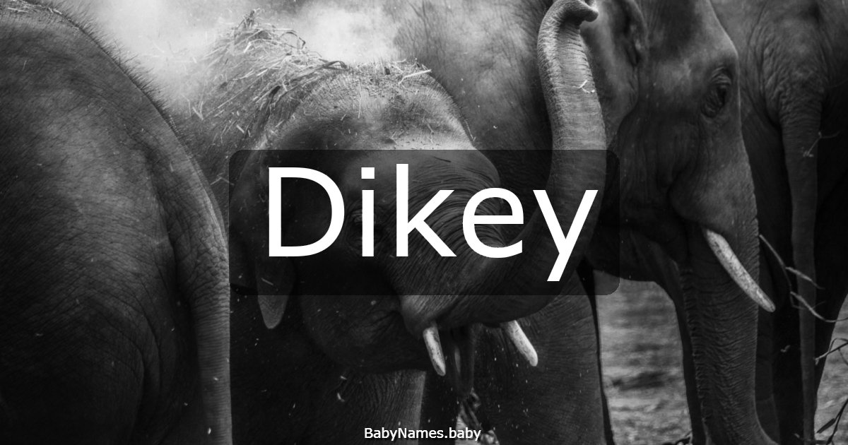 Dikey