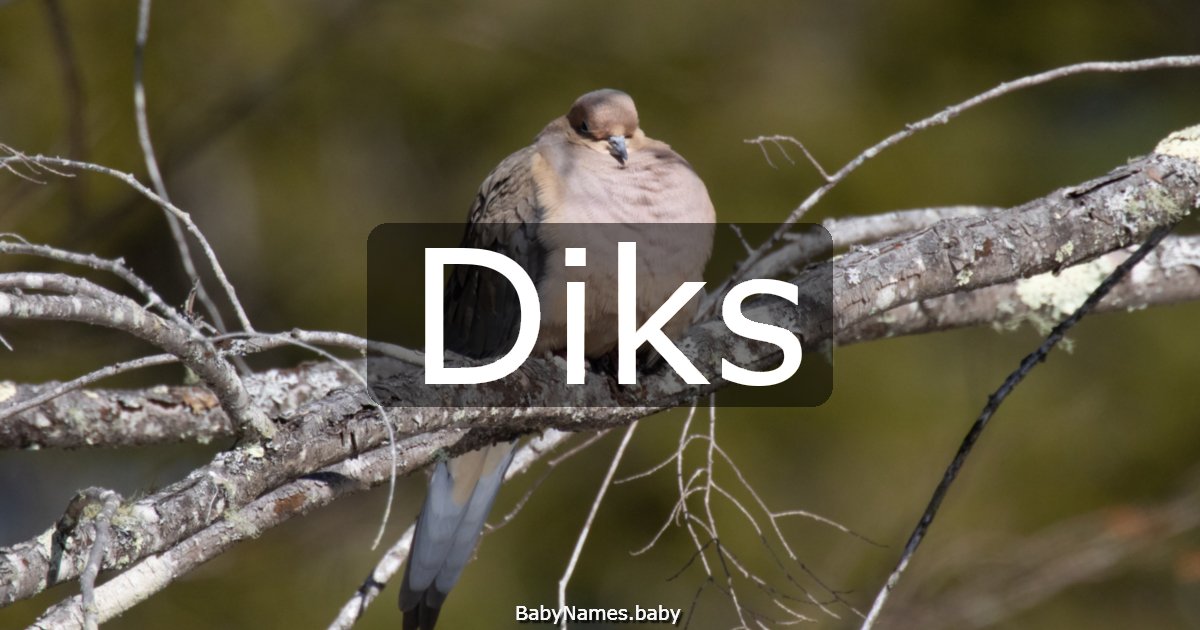 Diks