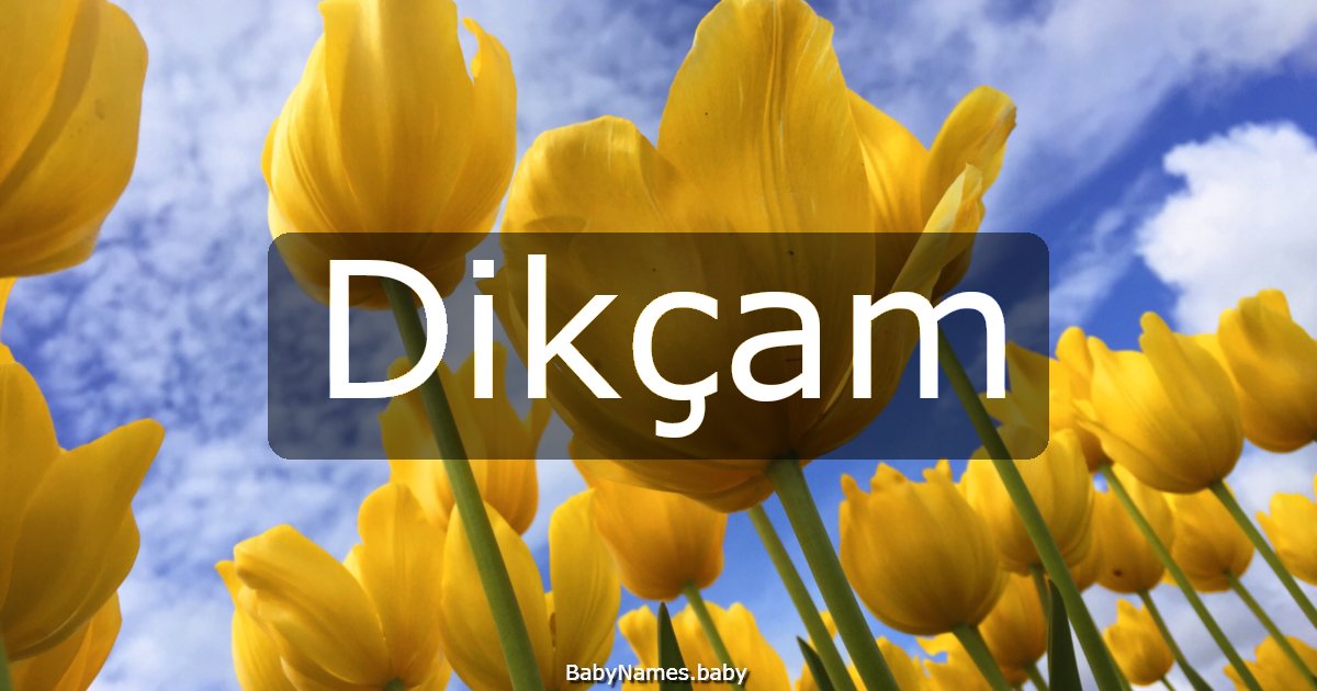 Dikçam