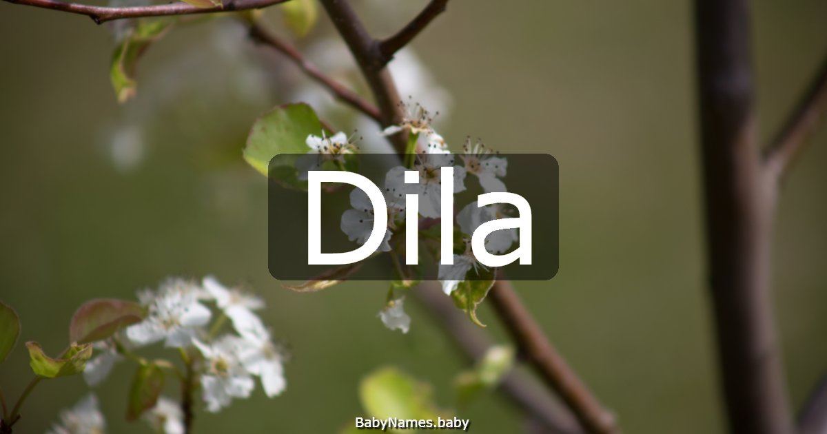 Dila