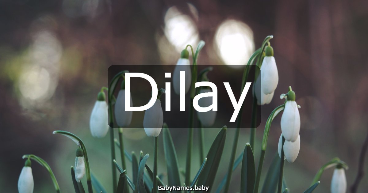 Dilay