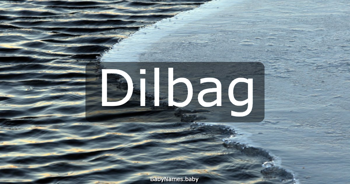 Dilbag