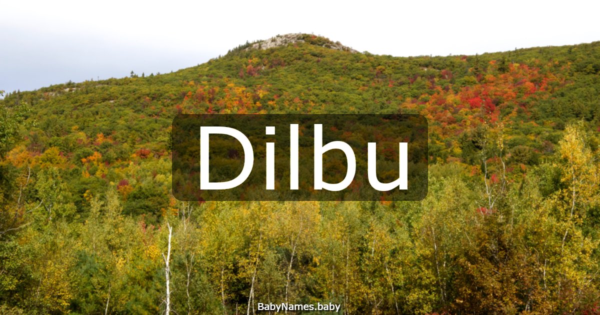 Dilbu