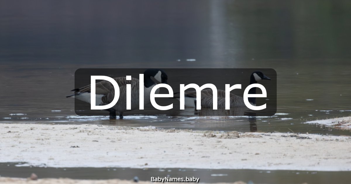 Dilemre