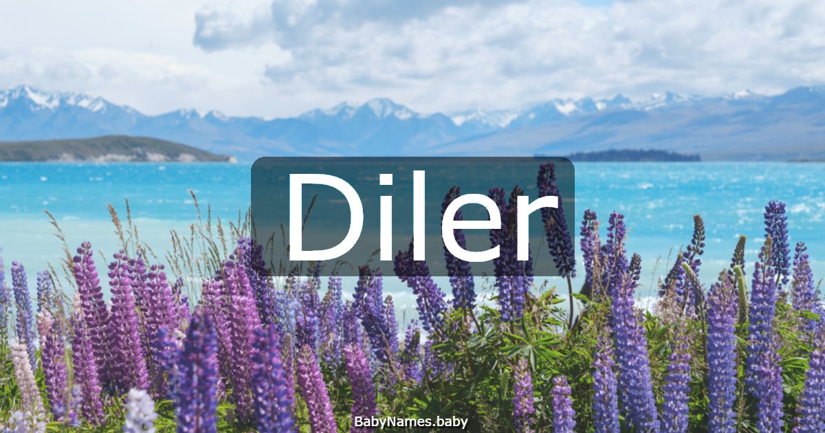 Diler
