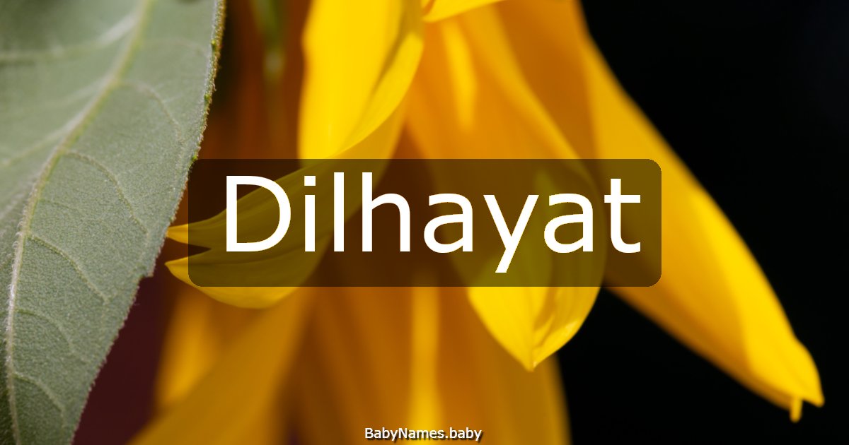 Dilhayat