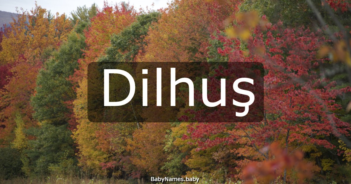Dilhuş