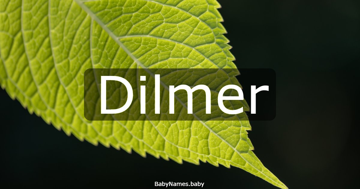 Dilmer