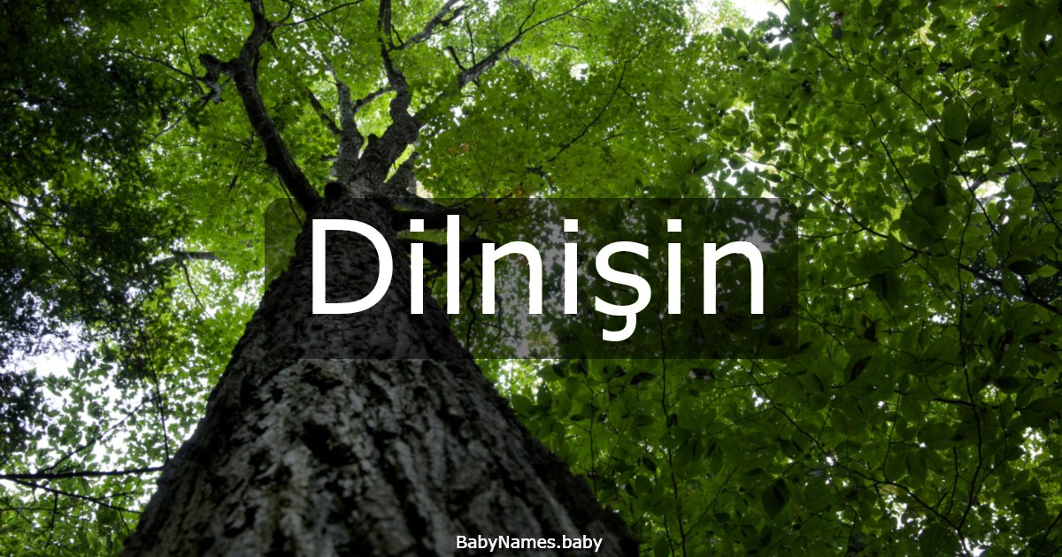 Dilnişin