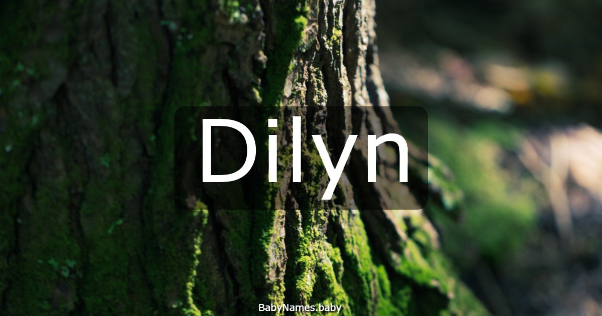 Dilyn