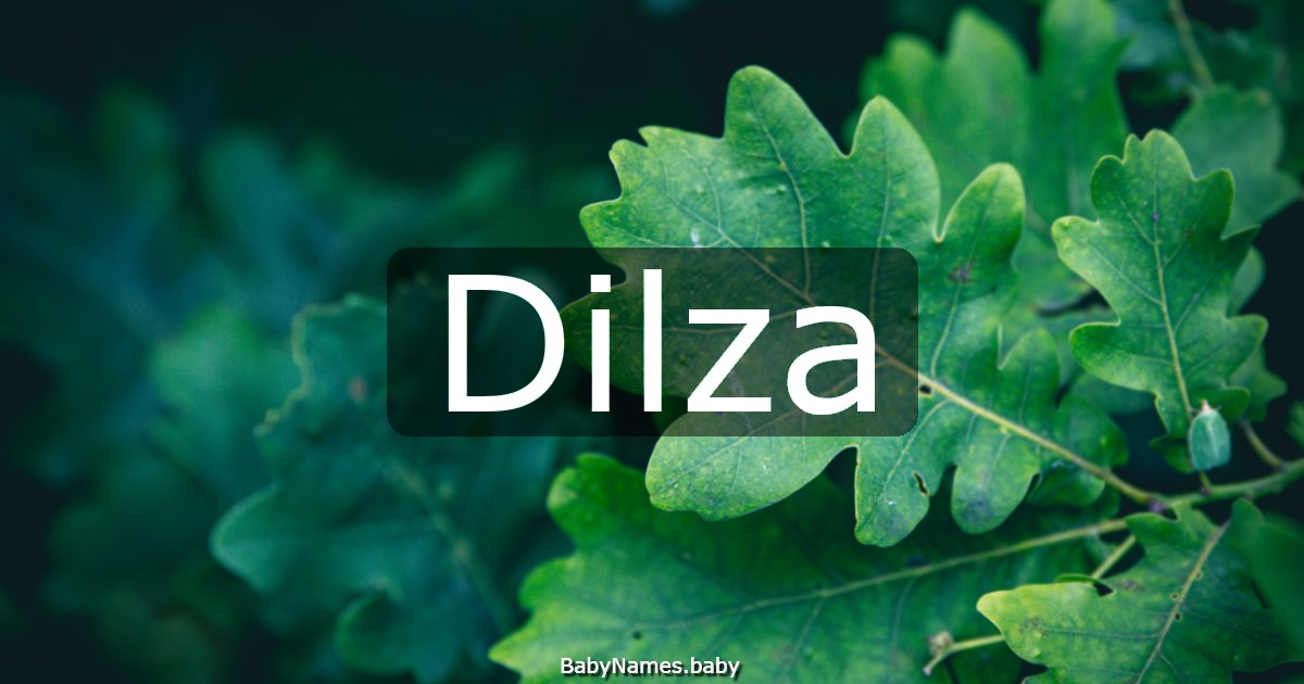 Dilza