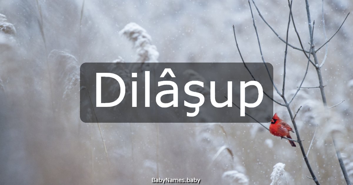 Dilâşup