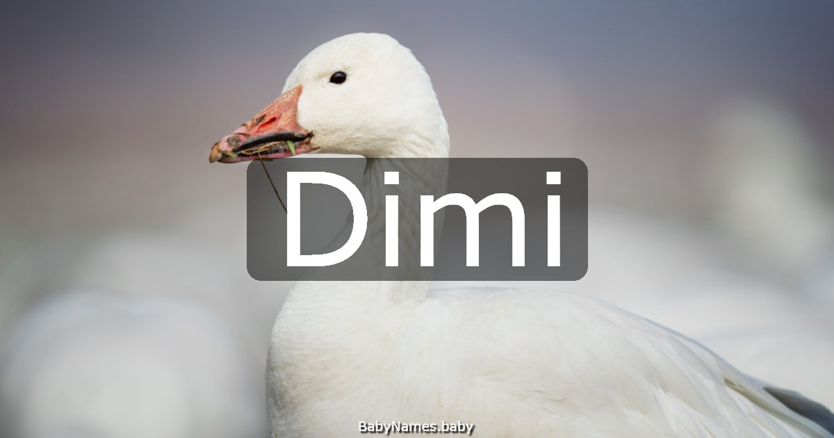 Dimi