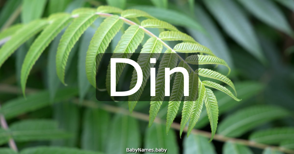 Din