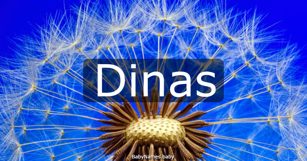 Dinas