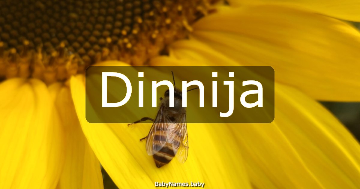 Dinnija
