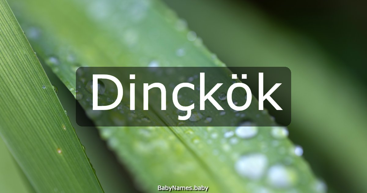 Dinçkök