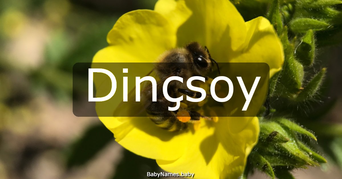 Dinçsoy