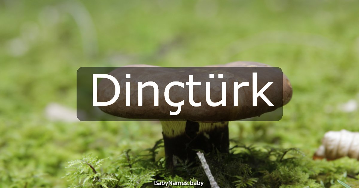 Dinçtürk