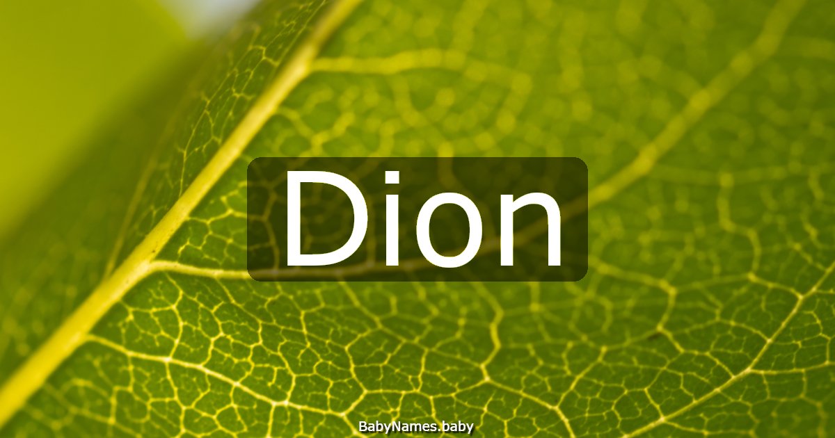 Dion