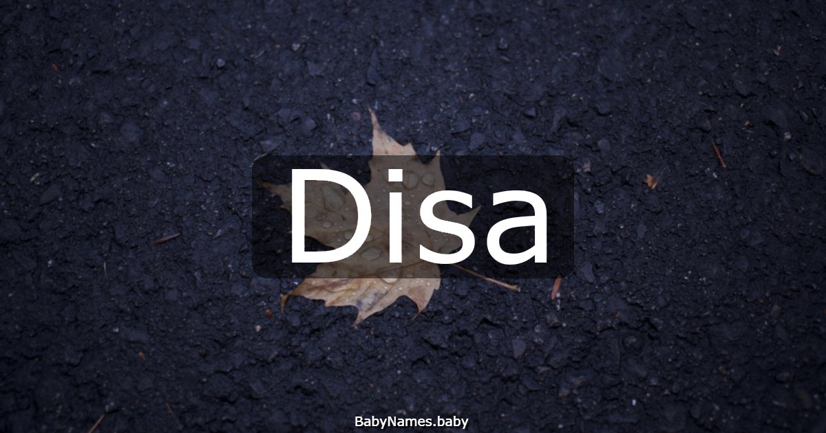 Disa