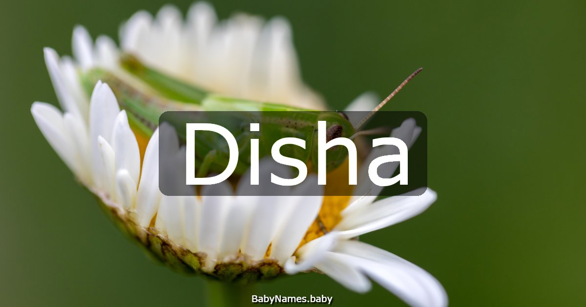 Disha