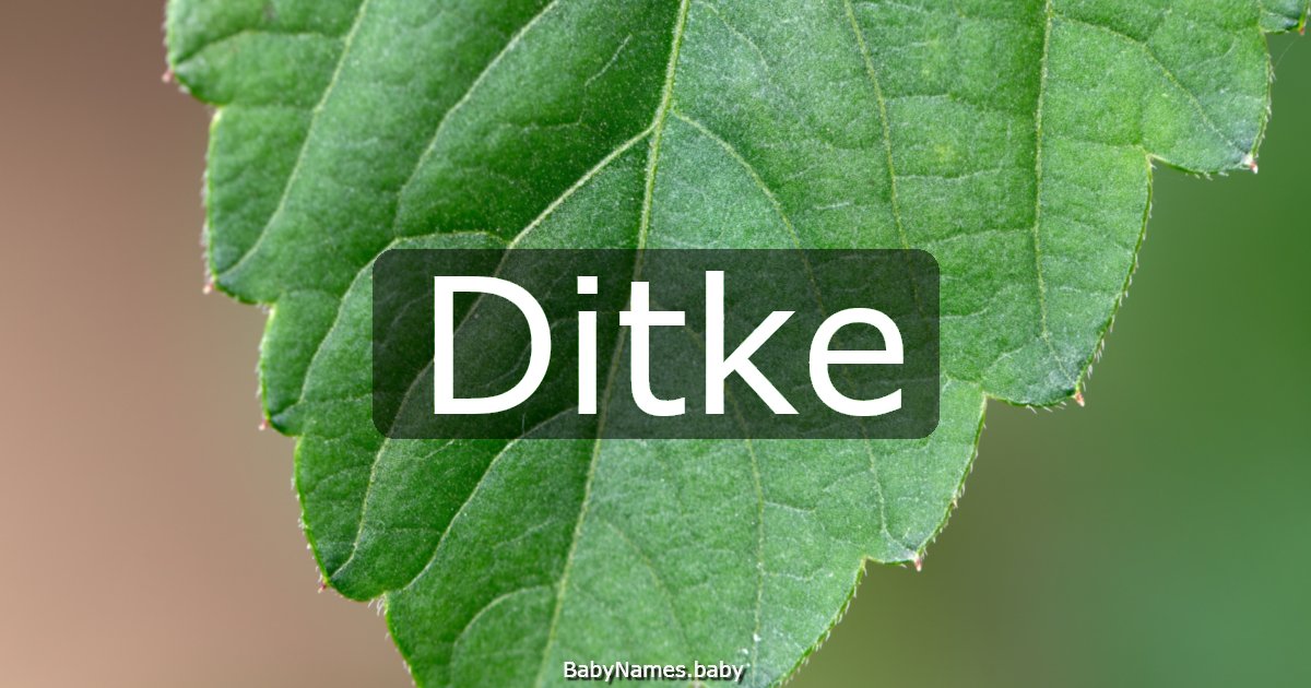 Ditke