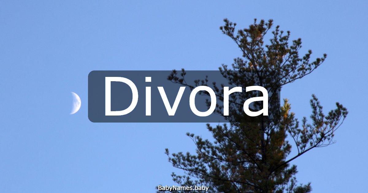 Divora