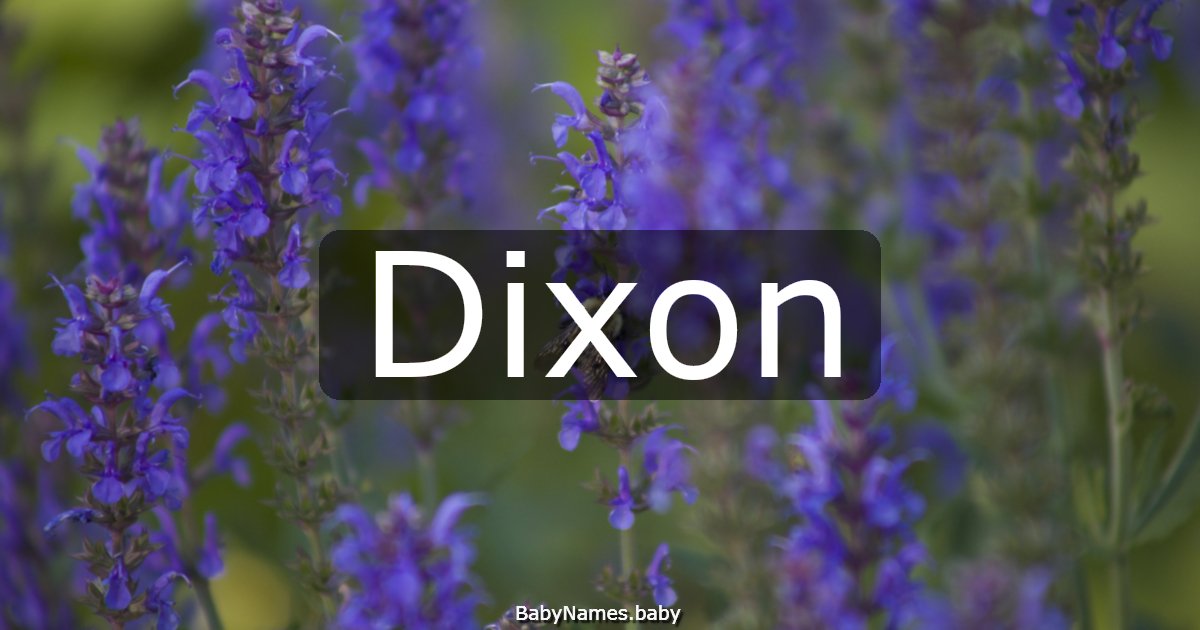 Dixon