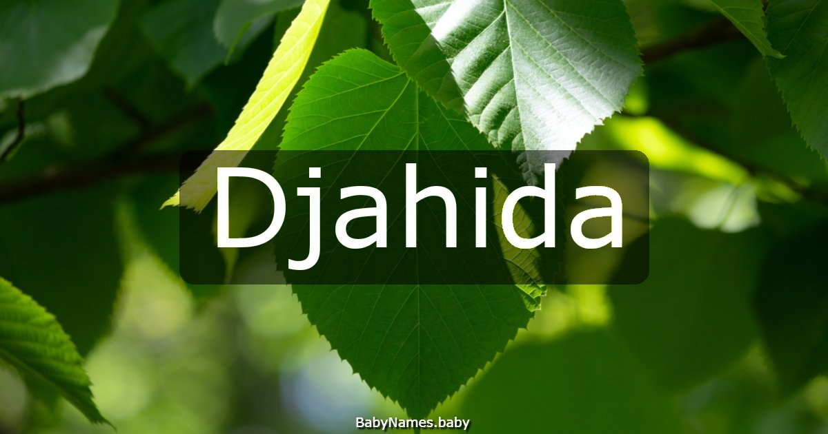 Djahida