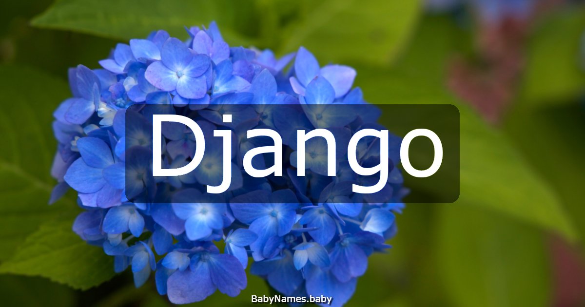 Django