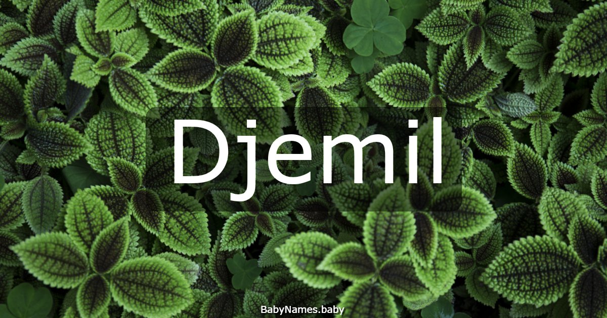 Djemil