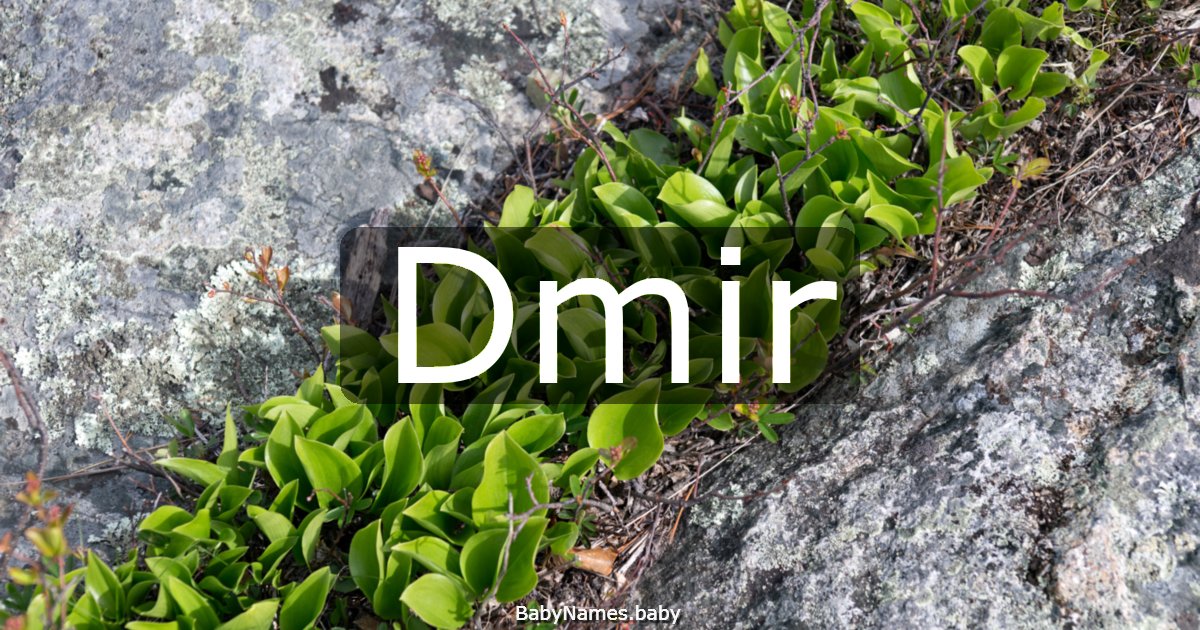 Dmir