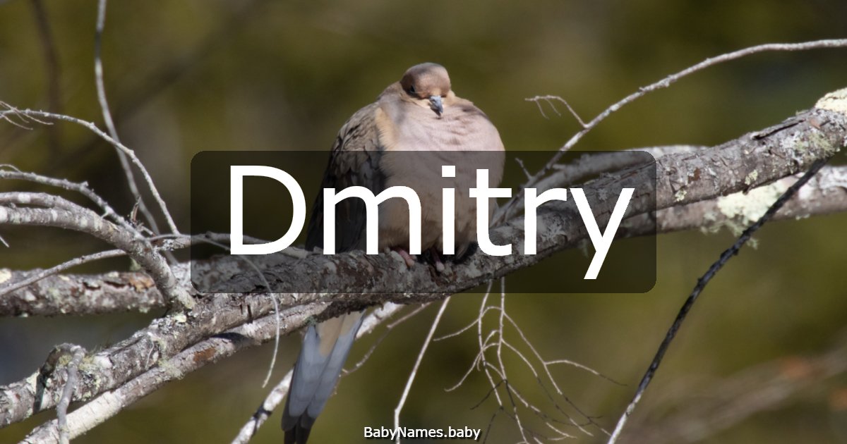 Dmitry