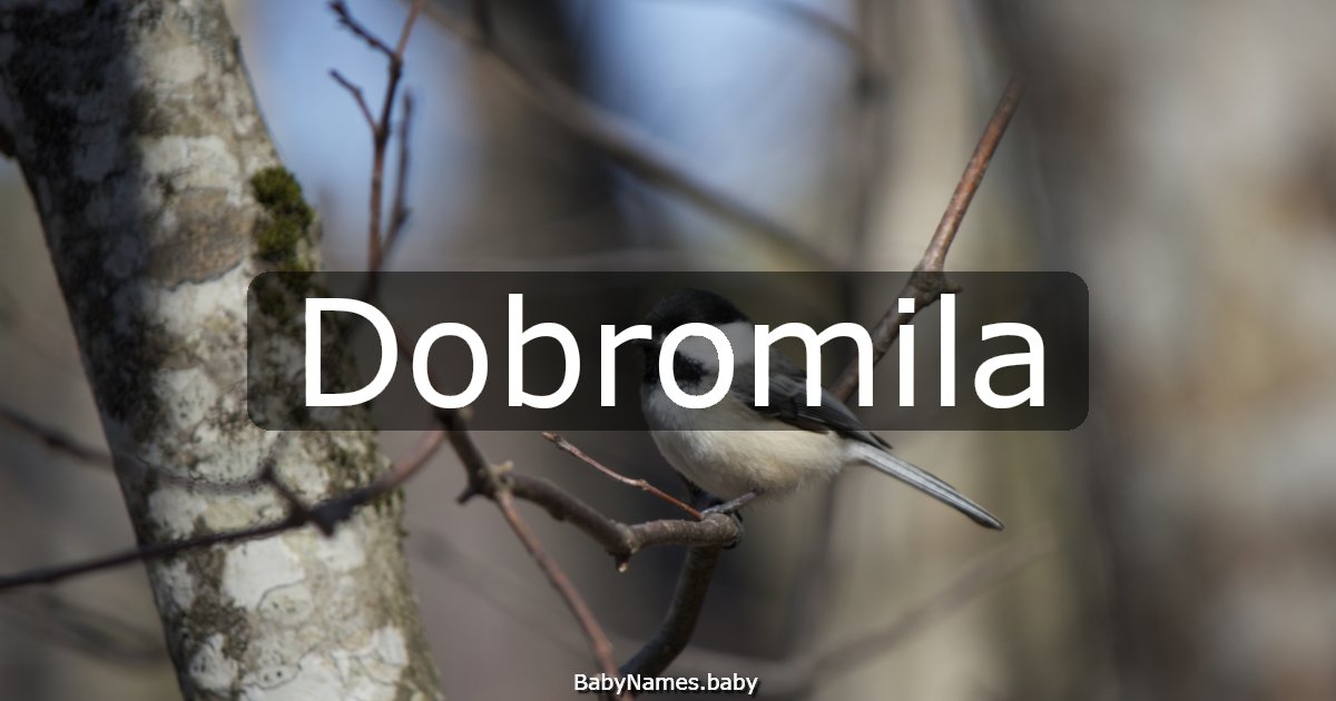 Dobromila