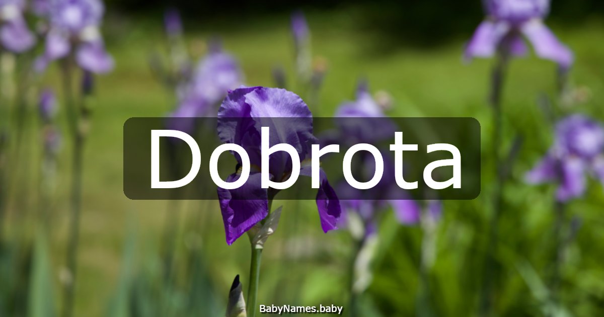 Dobrota