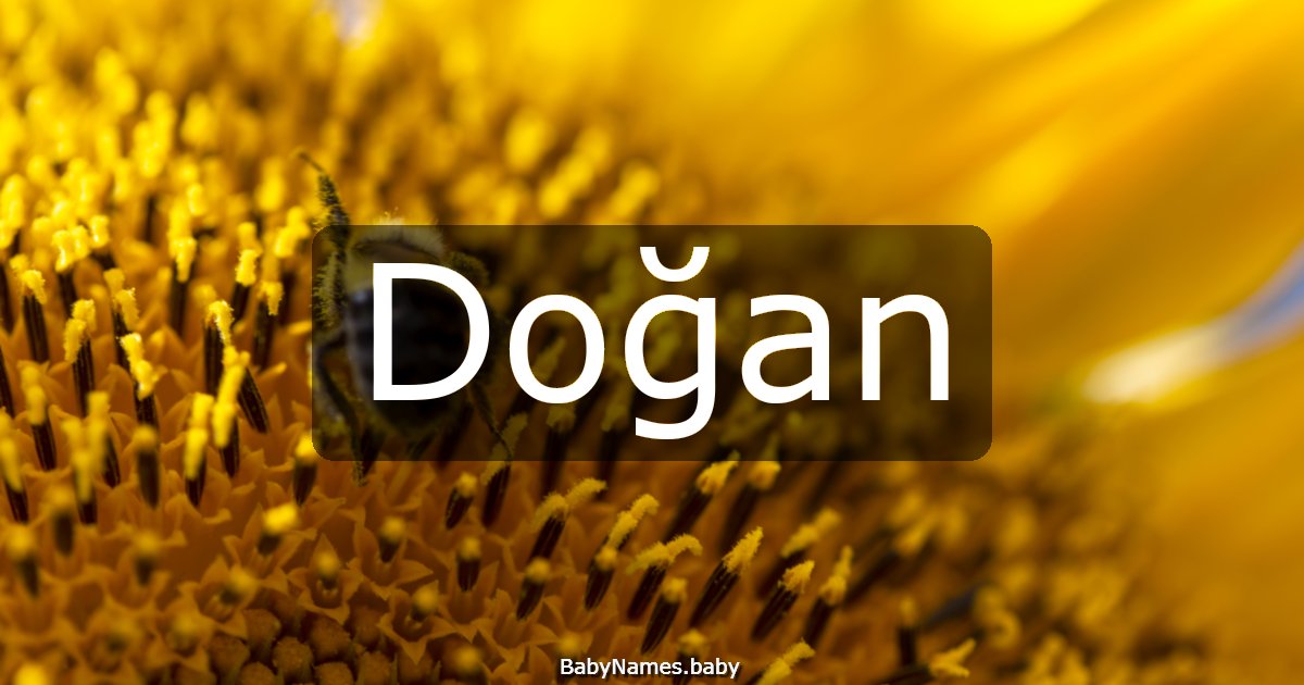 Doğan