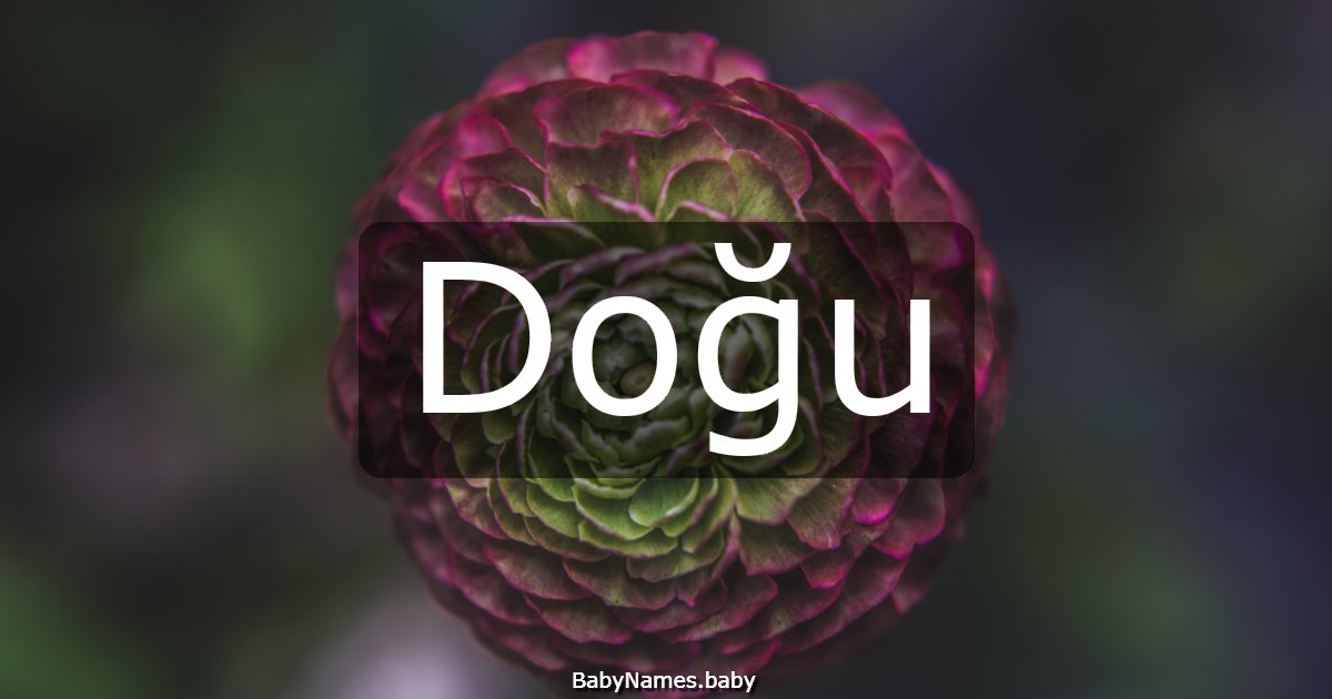 Doğu