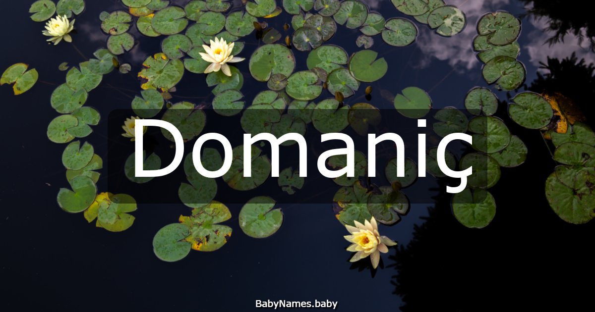 Domaniç